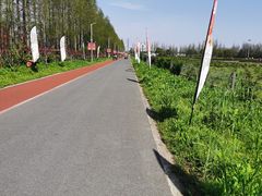 -上海长兴岛郊野公园