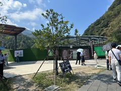 -石台牯牛降景区