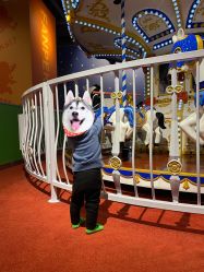 -幻贝家儿童乐园(苏州中心店)