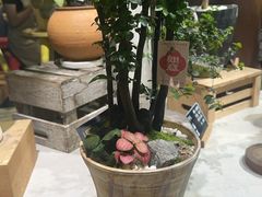 -弗劳尔花艺坊(龙涛店)