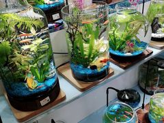 -CAKE BOSS 蛋糕老板(北京世纪金源购物中心)