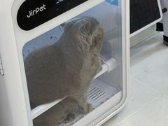 -老吴的猫·猫舍(新区店)