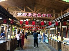 -海南槟榔谷黎苗文化旅游区