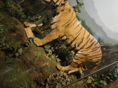 -陕西自然博物馆