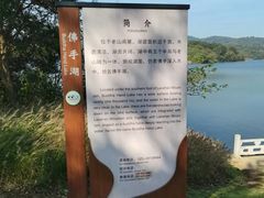 -佛手湖郊野公园