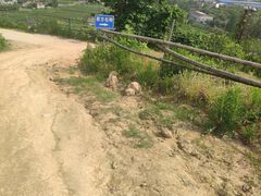 -杭州屏风山越野车营地·团建别墅轰趴民宿