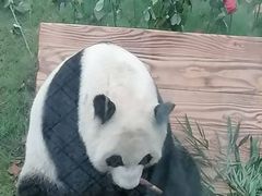 -无锡动物园·太湖欢乐园