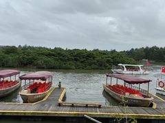 -东寨港红树林旅游区