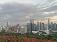 -莲花山公园