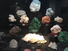 -烟台自然博物馆