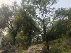 -阳台山自然风景区