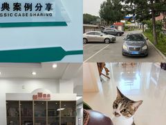 -派美特宠物医院·核磁CT·骨科肿瘤·疑难转诊(沈农禾丰店)