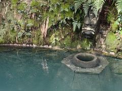 -十八棵（老龙井）御茶园(老龙井店)