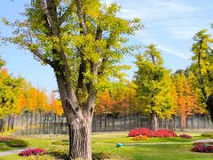 -南京银杏湖乐园