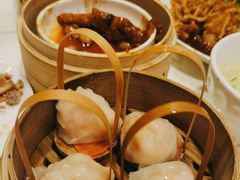 -金鼎轩·滋养小餐馆(联想桥店)