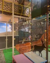 -卡通尼·Safari非洲探索乐园·生日会(金桥国际商业广场店)