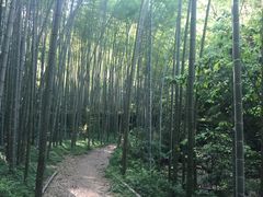 -公盂村