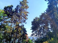 -萨尔浒风景区