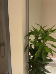 -柯莲娜医学美容