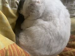 -芸山季·云南山珍菌火锅(人民广场来福士店)