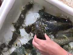 -拉威海鲜市场