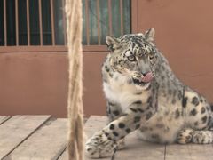 -青藏高原野生动物园