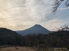 -胜博殿霸王树(嘉里中心店)