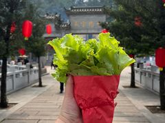-芦苞胥江祖庙