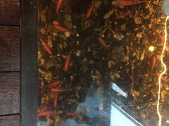 -颐和•海鲜砂锅粥•啫啫煲(奥林匹克广场店)