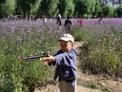 -北戴河集发农业梦想王国