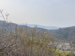 -北京西山国家森林公园