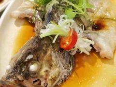 -顺德佬酒楼(愉龙店)