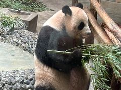 -青岛动物园
