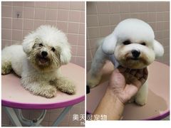 -FAELING PETS美天灵宠物(富力广场店)
