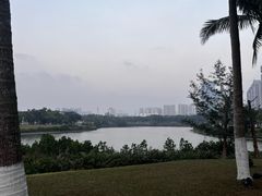 -万绿园
