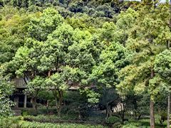 -杭州花家山庄