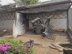 -南昌动物园