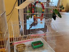 -品茗轩茶楼(江川路店)