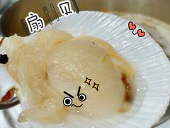 扇贝-肥佬大椰子鸡(三里屯3·3大厦店)