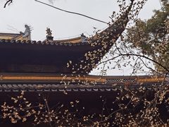 -西园戒幢律寺