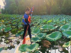 -WhaleSports户外水上运动俱乐部(朝阳公园店)