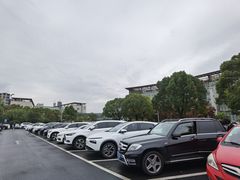 -上海中医药大学附属曙光医院(东部)