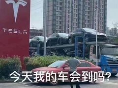 -TESLA 特斯拉(北京南四环中路特斯拉中心)