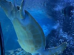 -太平洋海底世界