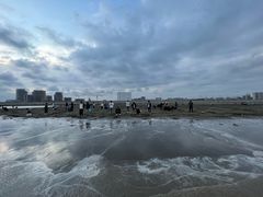 -南汇新城海滩