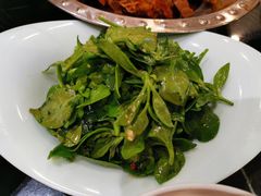 生态田七苗-春来和(汉城南路店)