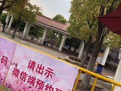 -自然谷恐龙园
