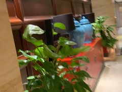 -洛阳宴·洛阳菜(南昌路店)