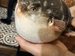 -永安鱼庄·镇江菜(丁卯店)