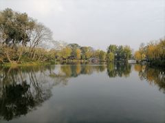 -北湖公园